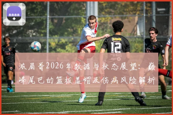 浓眉哥2026年数据与状态展望:巅峰尾巴的篮板盖帽及伤病风险解析